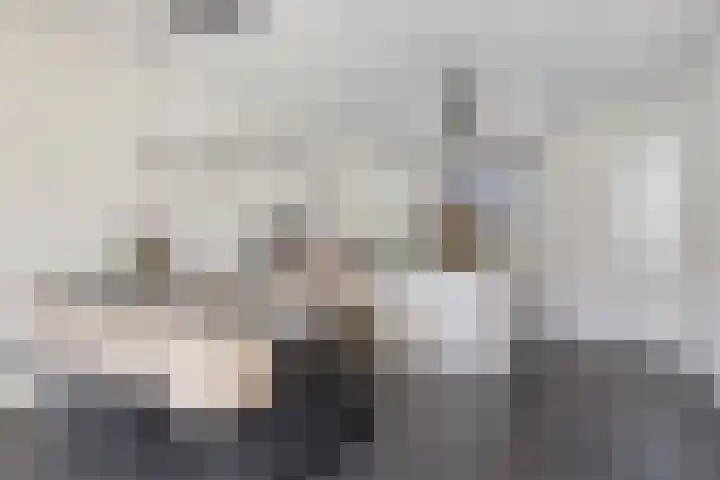 Meester Vermeulenstraat 19 Beek thumbnail 14