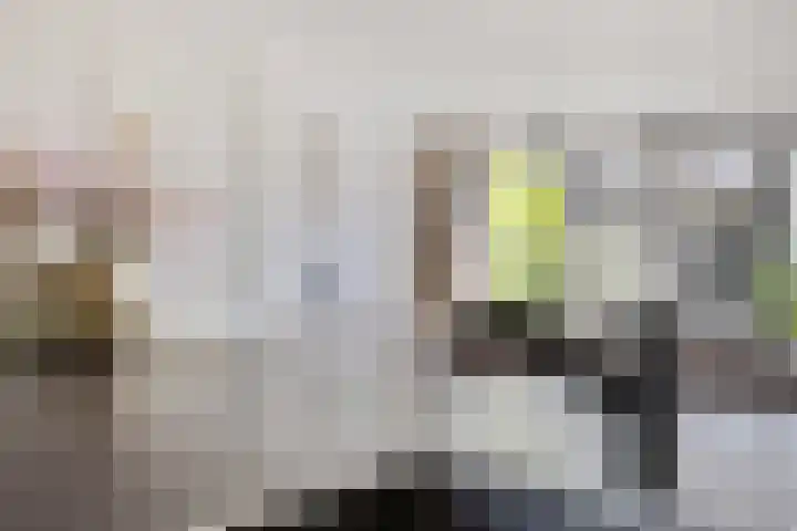 Meester Vermeulenstraat 19 Beek thumbnail 18