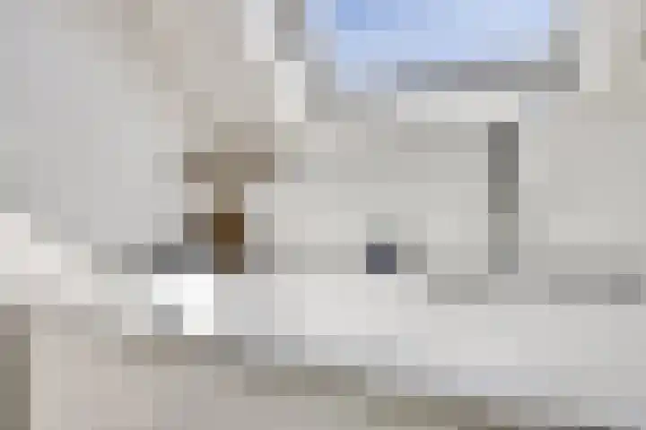 Meester Vermeulenstraat 19 Beek thumbnail 24