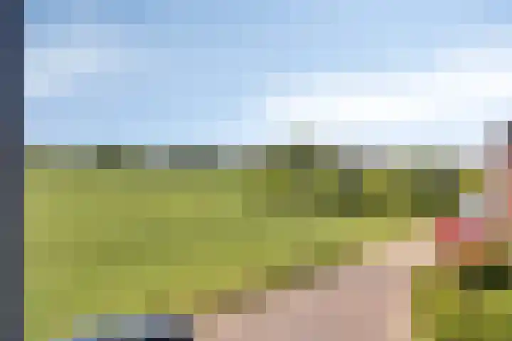 Meester Vermeulenstraat 19 Beek thumbnail 27