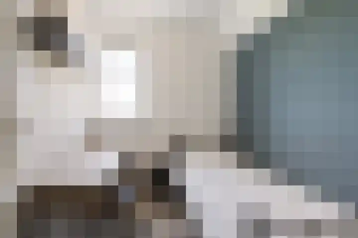 Meester Vermeulenstraat 19 Beek thumbnail 30