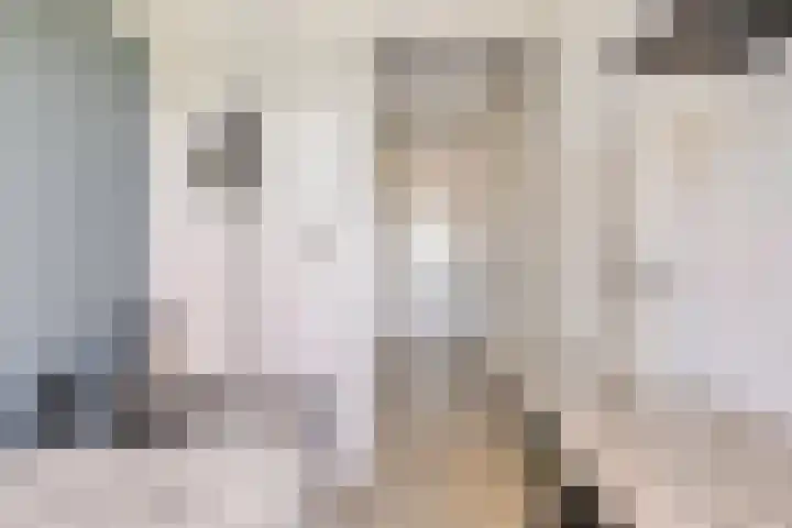 Meester Vermeulenstraat 19 Beek thumbnail 31