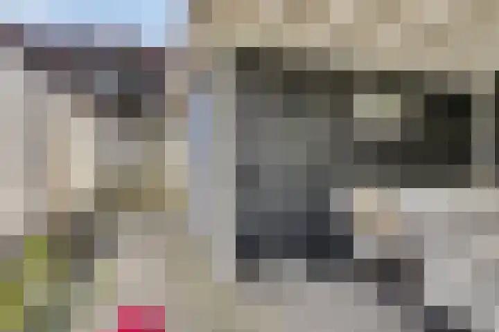 Meester Vermeulenstraat 19 Beek thumbnail 33