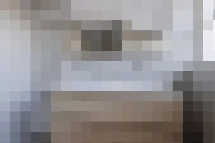 Meester Vermeulenstraat 2 Beek thumbnail 28