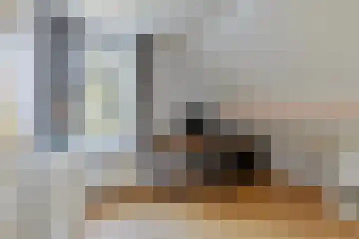 Meester Vermeulenstraat 2 Beek thumbnail 31