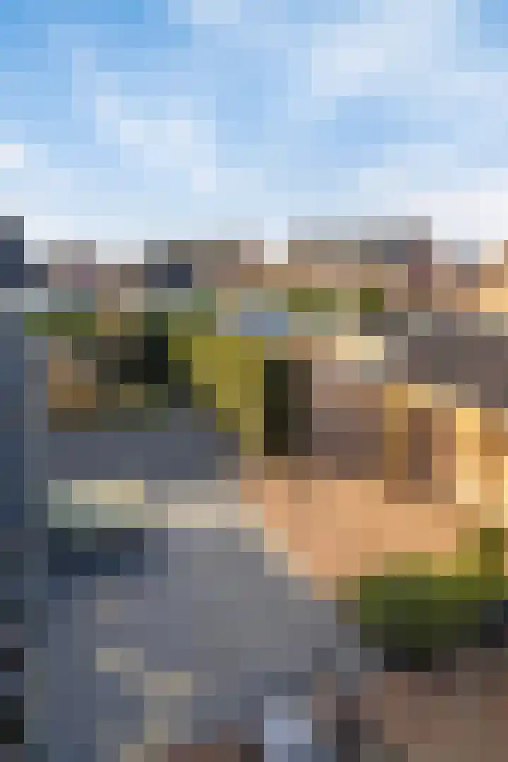 Meester Vermeulenstraat 2 Beek thumbnail 36