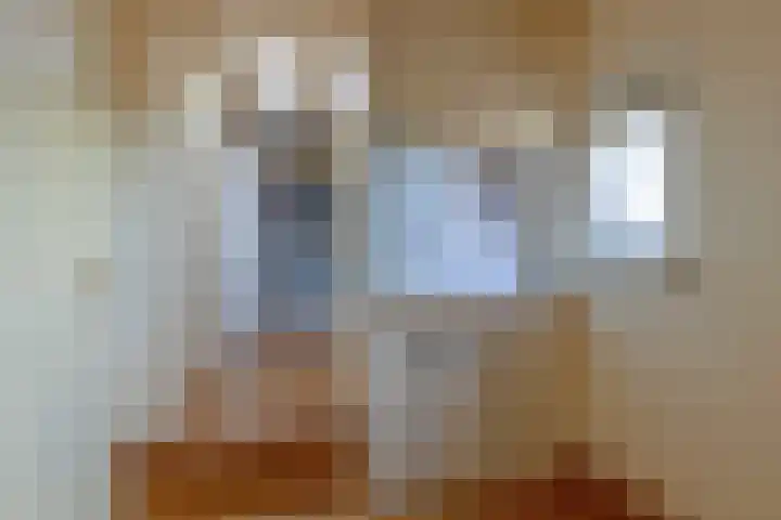 Meester Vermeulenstraat 2 Beek thumbnail 37