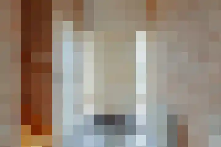Meester Vermeulenstraat 2 Beek thumbnail 4