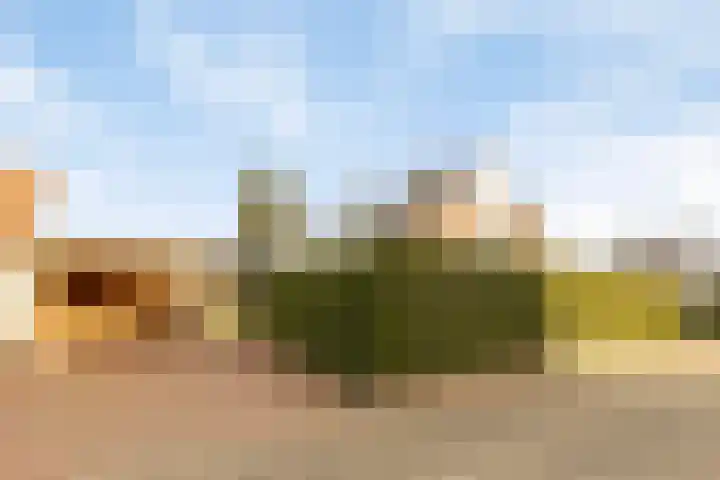 Meester Vermeulenstraat 2 Beek thumbnail 50