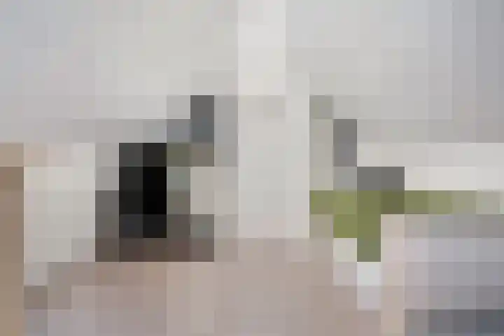 Meester Visserstraat 16 Marken thumbnail 31