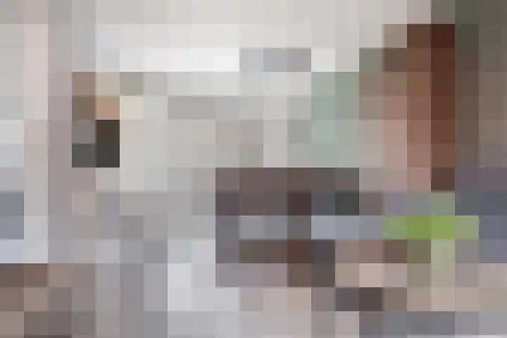 Meester Visserstraat 16 Marken thumbnail 8