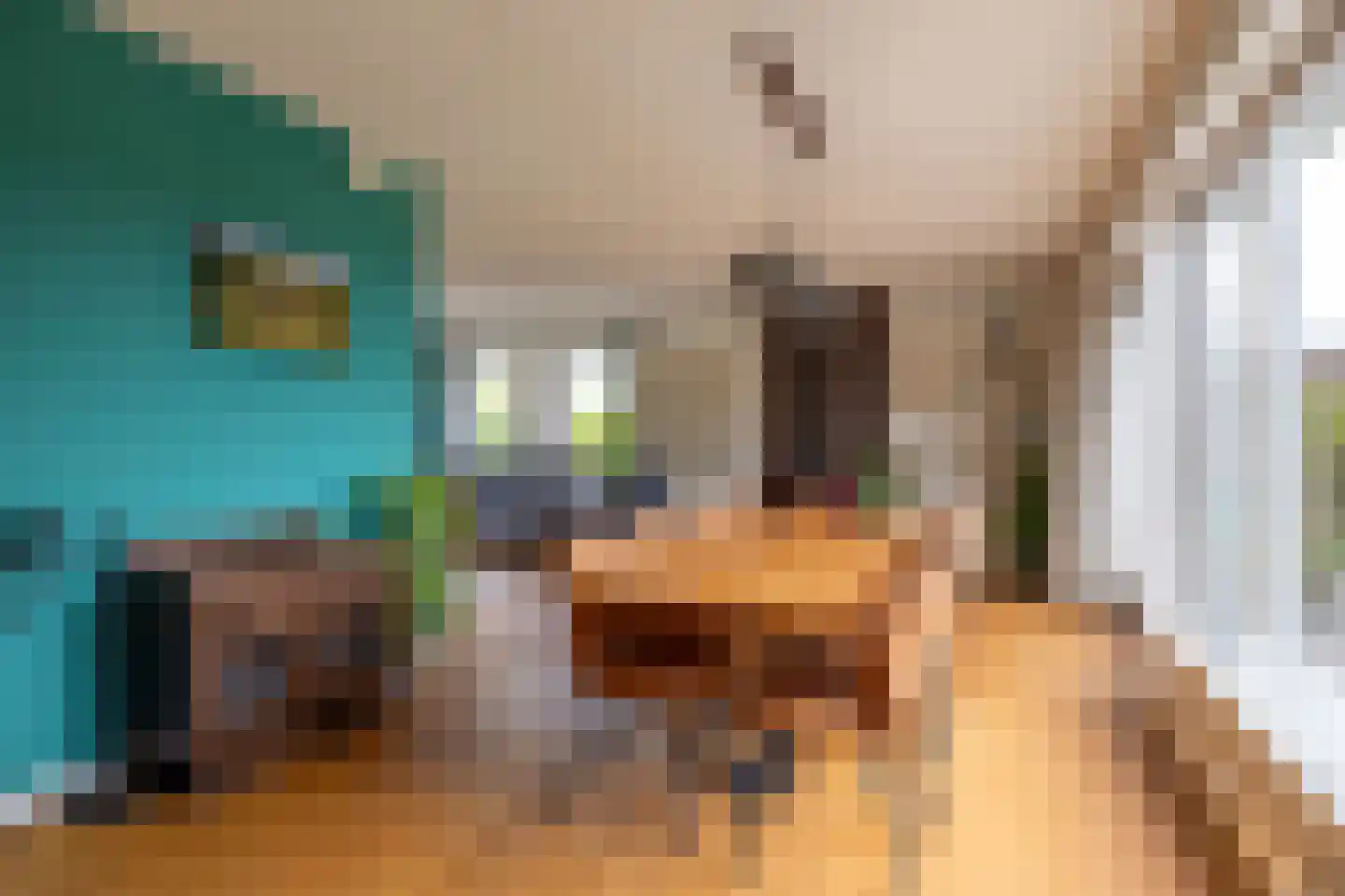 Meester Visserstraat 9 Kollumerpomp thumbnail 23