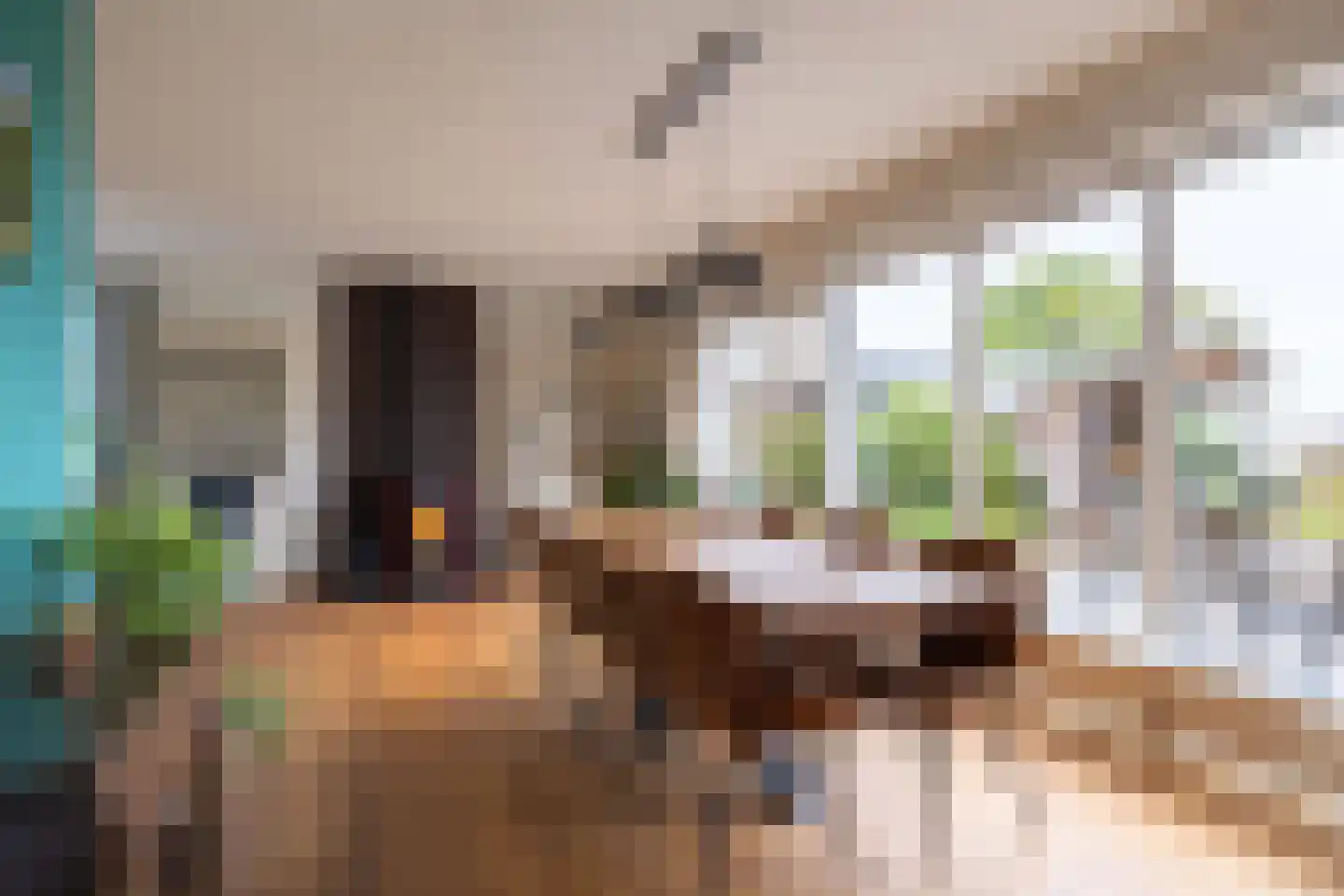 Meester Visserstraat 9 Kollumerpomp thumbnail 24