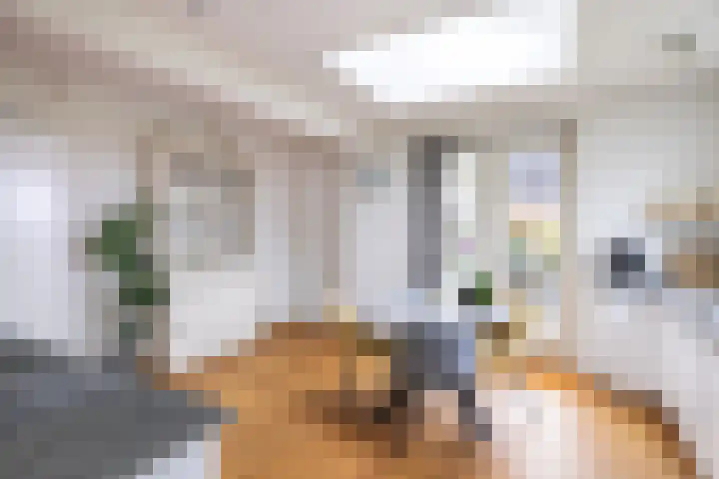 Meester Visserstraat 9 Kollumerpomp thumbnail 32