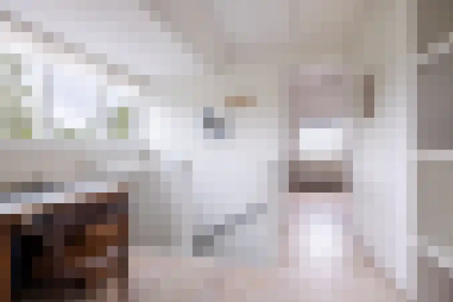 Meester Visserstraat 9 Kollumerpomp thumbnail 35