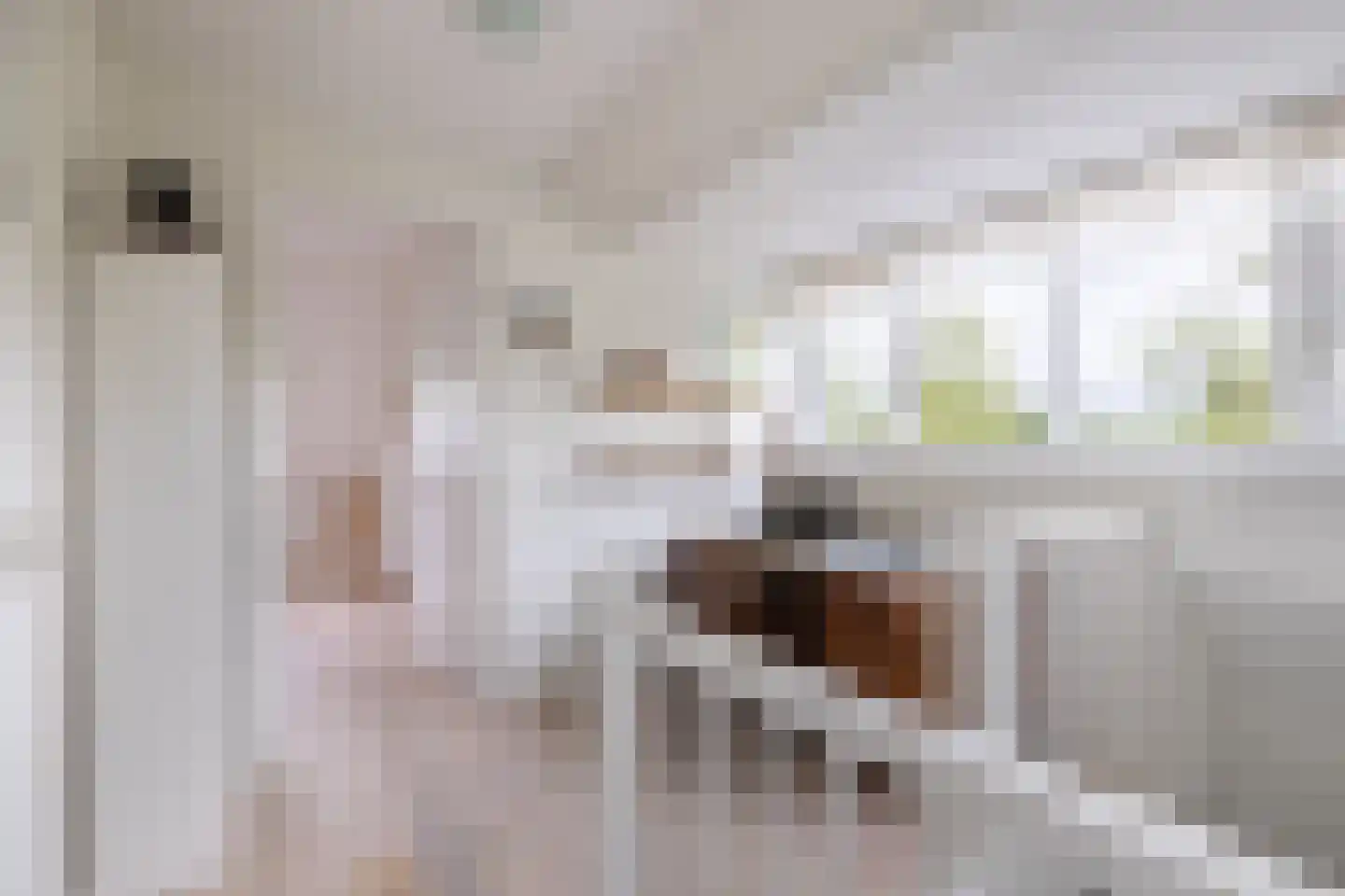 Meester Visserstraat 9 Kollumerpomp thumbnail 36