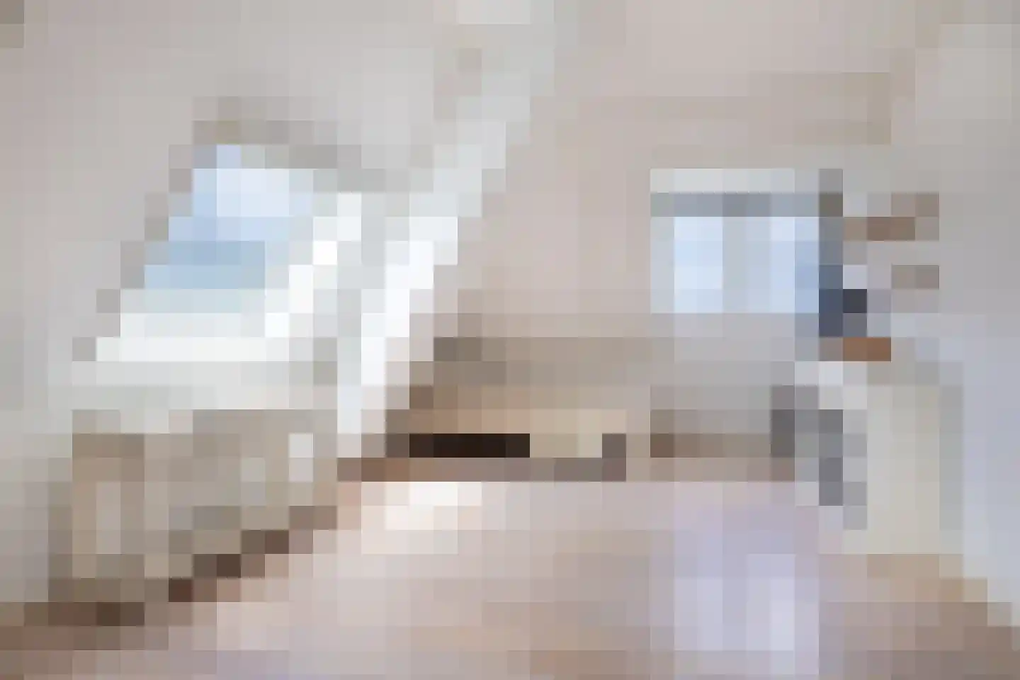Meester Visserstraat 9 Kollumerpomp thumbnail 42