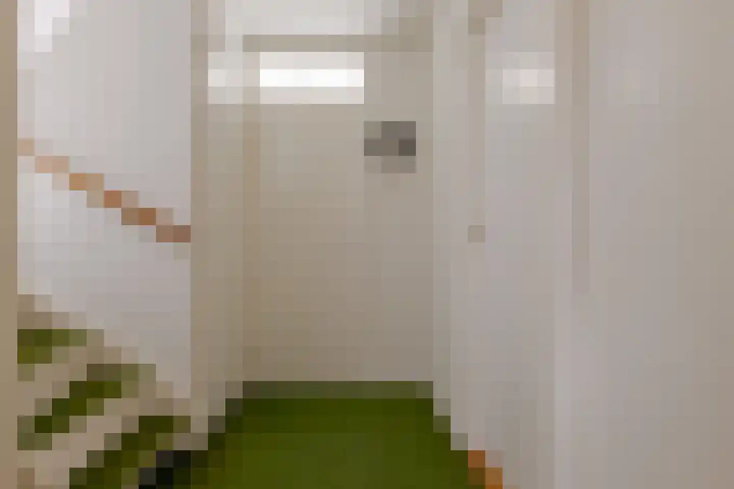Meester Voortmanstraat 20 Haulerwijk thumbnail 37