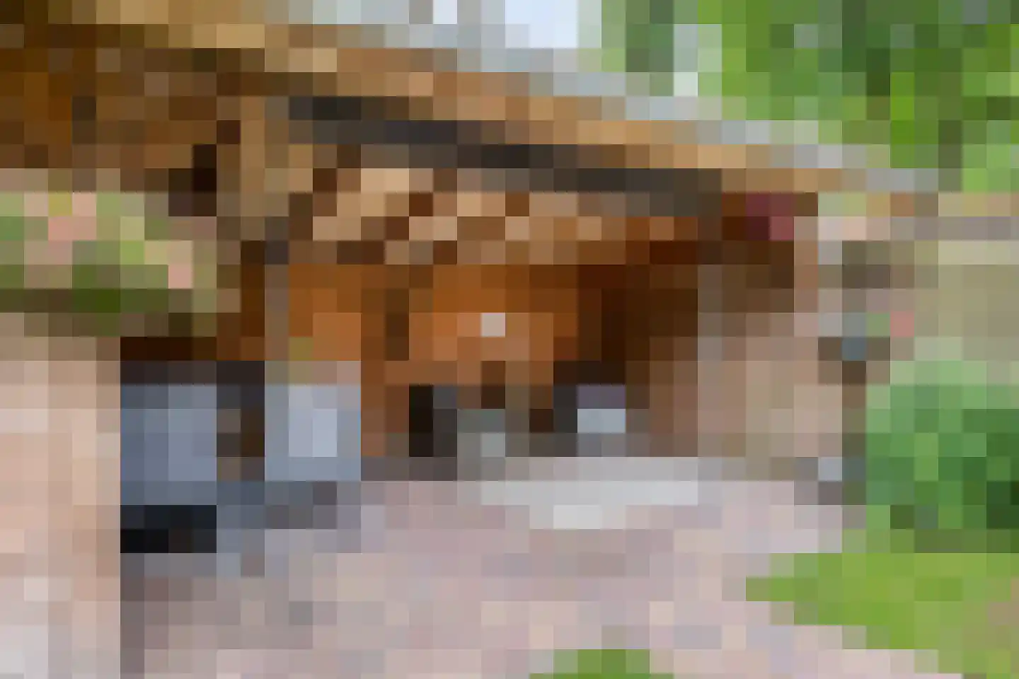 Meester Voortmanstraat 64 Haulerwijk thumbnail 37