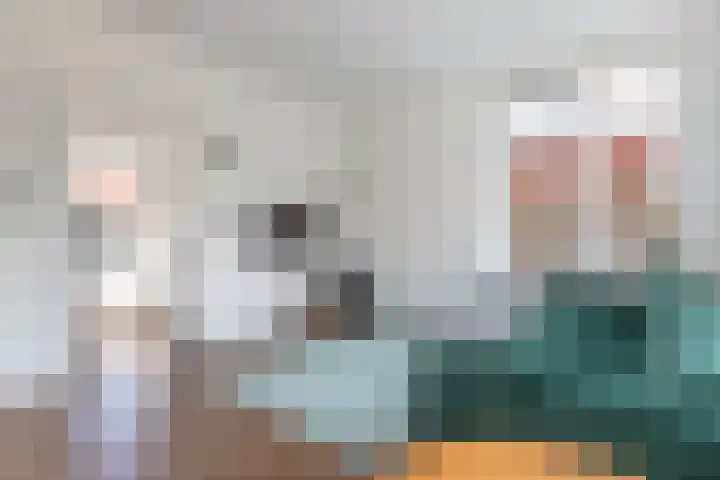 Meester Vrijburgstraat 11 Tzum thumbnail 11