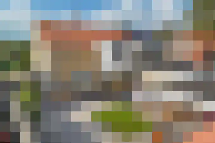 Meester Vrijburgstraat 11 Tzum thumbnail 31