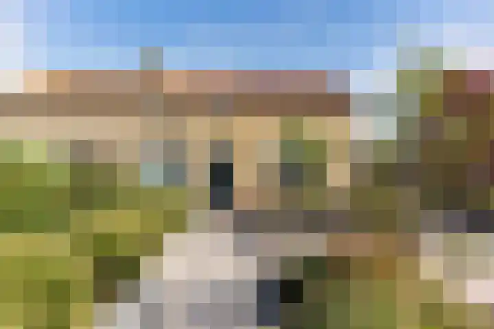 Meester Vrijburgstraat 11 Tzum thumbnail 5