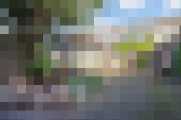 Meester Weechslaan 18 's-Hertogenbosch thumbnail 16