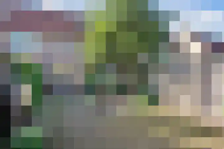 Meester Weechslaan 18 's-Hertogenbosch thumbnail 17