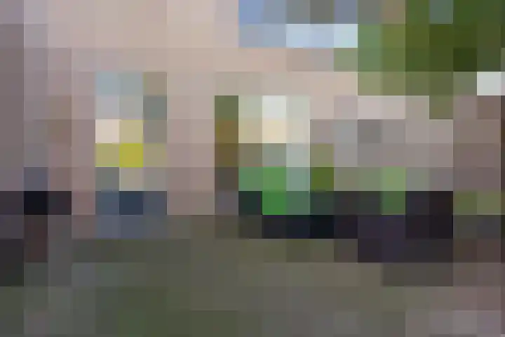 Meester Weechslaan 18 's-Hertogenbosch thumbnail 20