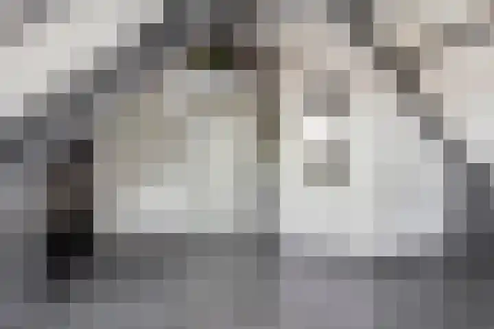 Meester Weechslaan 18 's-Hertogenbosch thumbnail 35