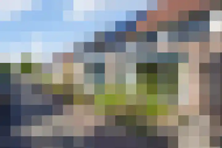 Meester Weechslaan 18 's-Hertogenbosch thumbnail 37