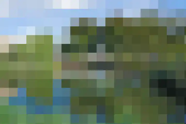 Meester Weechslaan 18 's-Hertogenbosch thumbnail 39