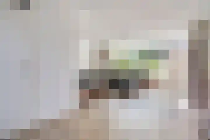 Meester Weechslaan 18 's-Hertogenbosch thumbnail 4