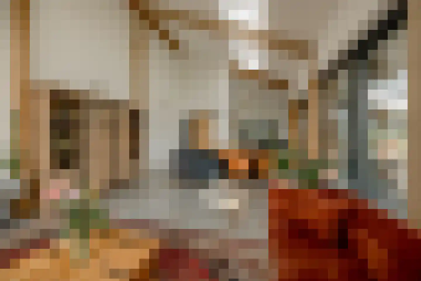 Meester Werkmanstraat 4 a Nijverdal thumbnail 18