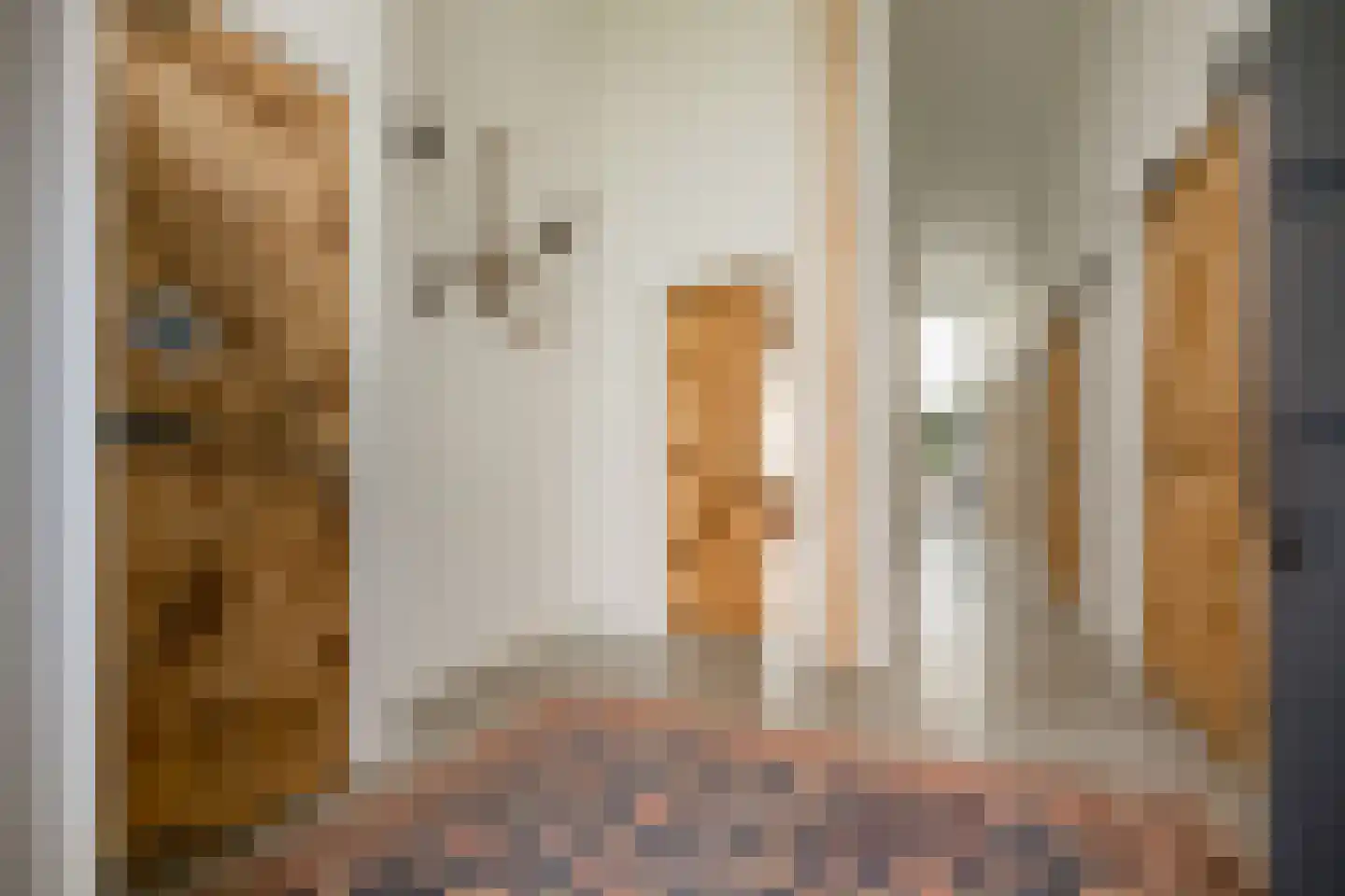 Meester Werkmanstraat 4 a Nijverdal thumbnail 22