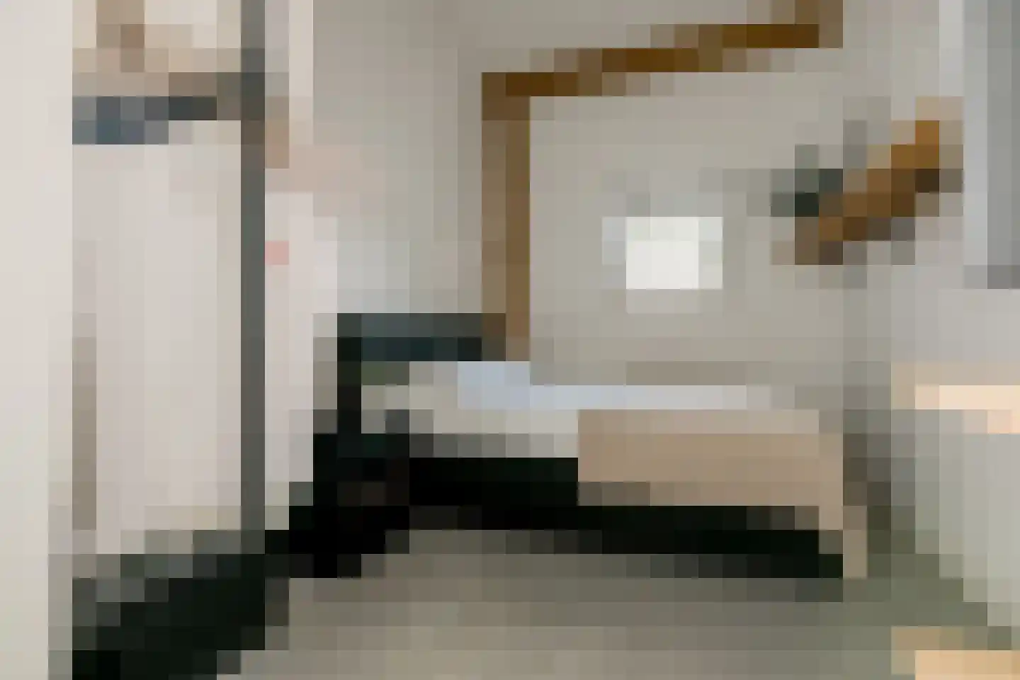 Meester Werkmanstraat 4 a Nijverdal thumbnail 30