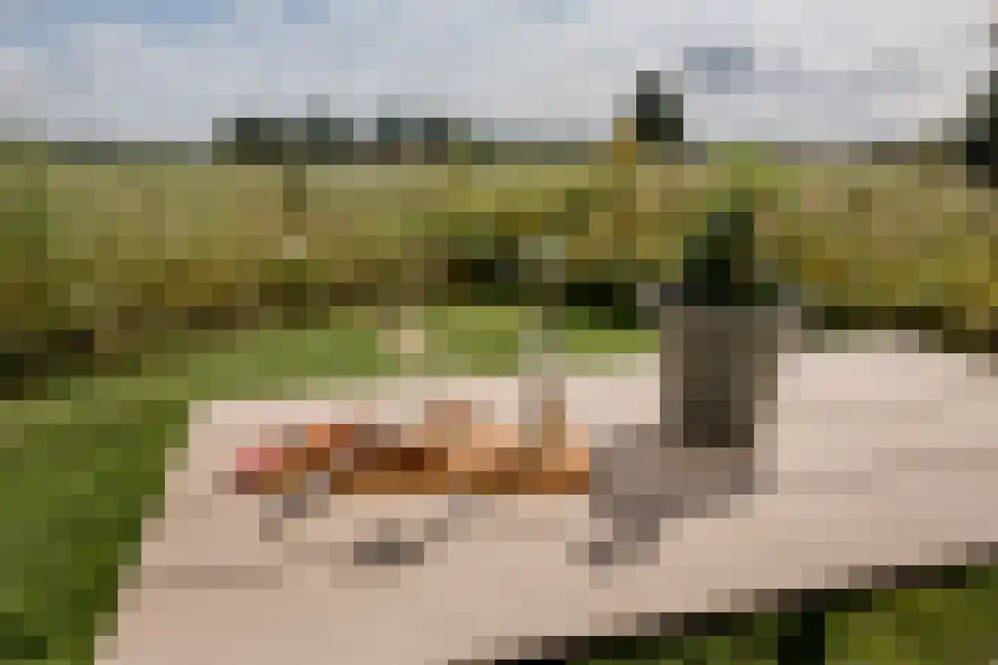 Meester Werkmanstraat 4 a Nijverdal thumbnail 9