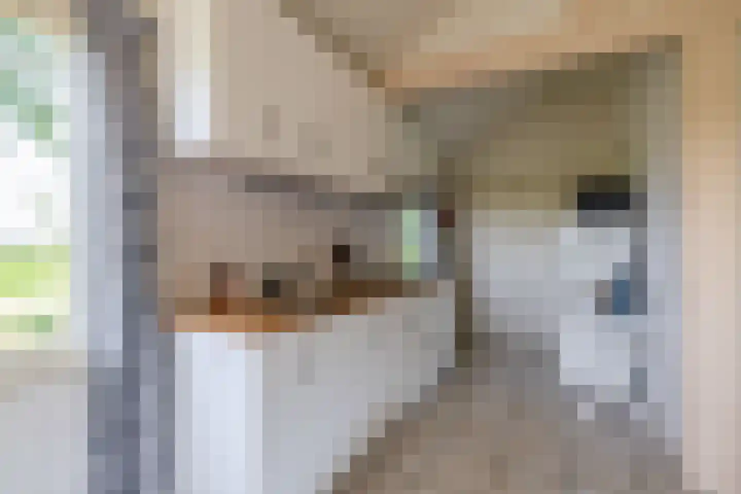 Meester Wijmaweg 3 Bantega thumbnail 105