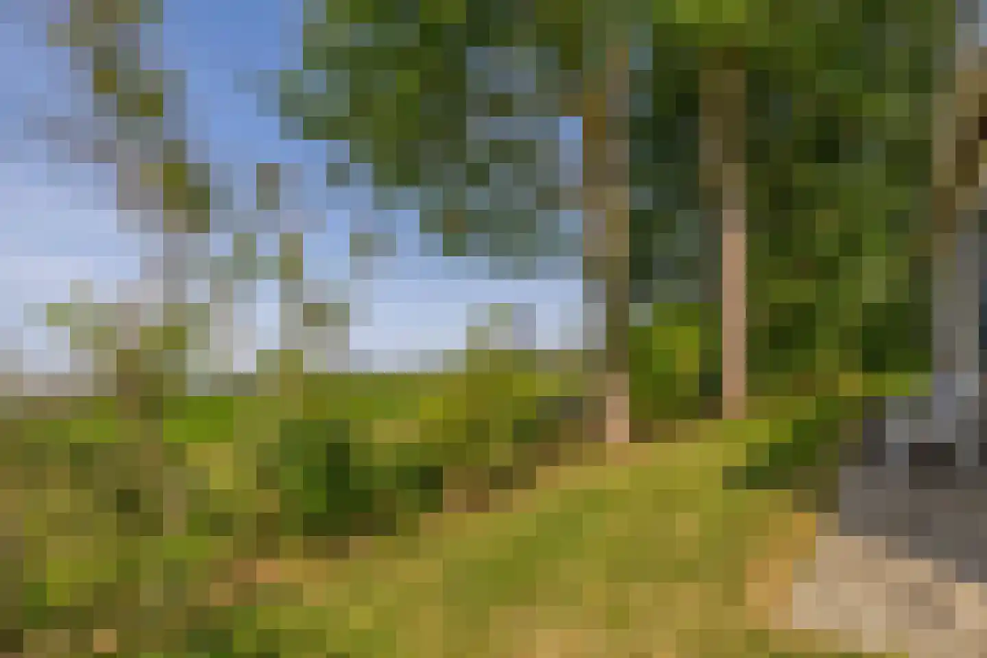 Meester Wijmaweg 3 Bantega thumbnail 109