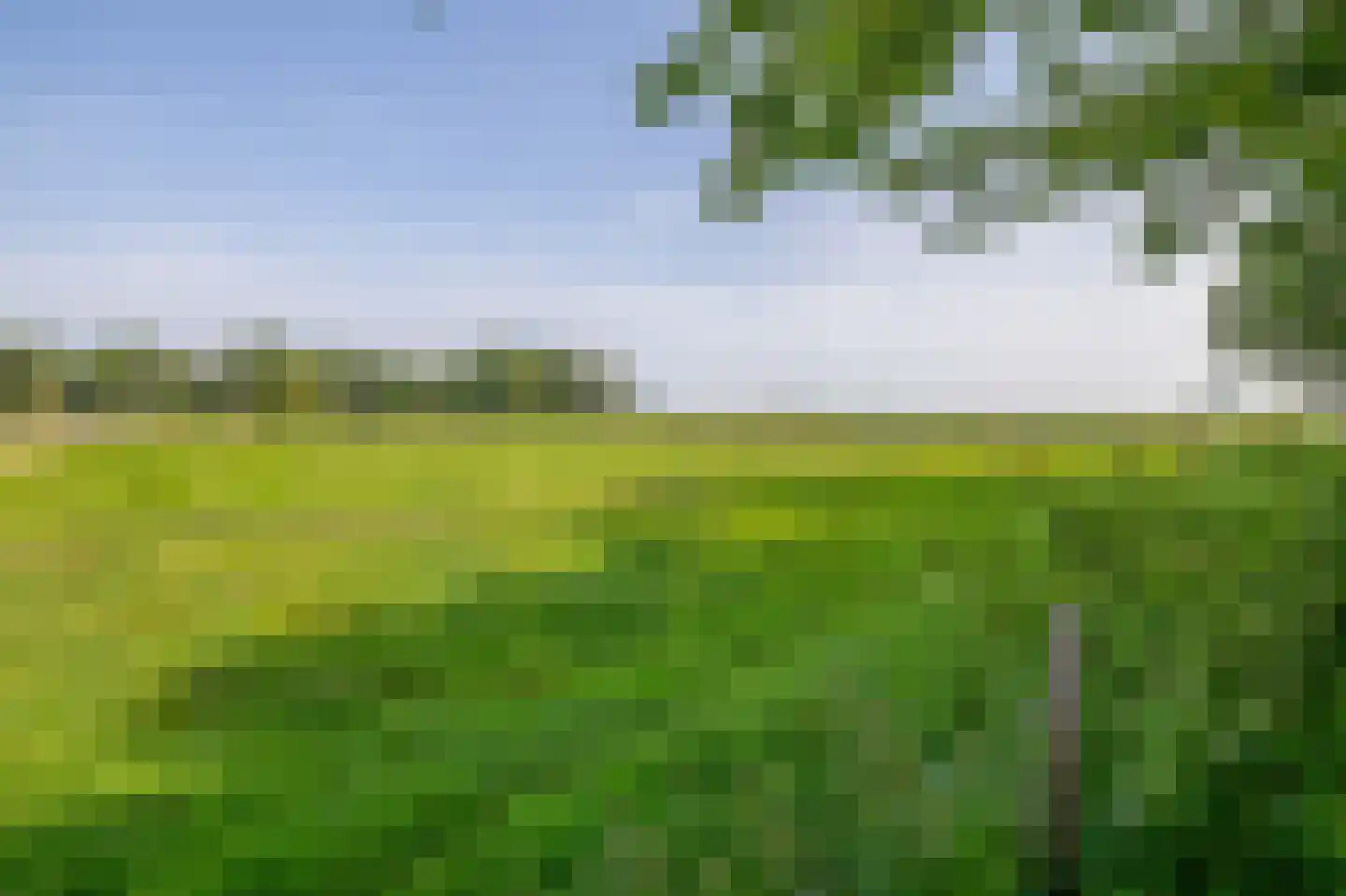 Meester Wijmaweg 3 Bantega thumbnail 110
