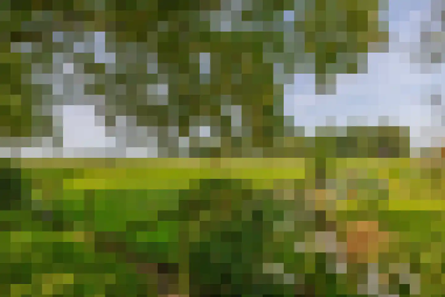 Meester Wijmaweg 3 Bantega thumbnail 111