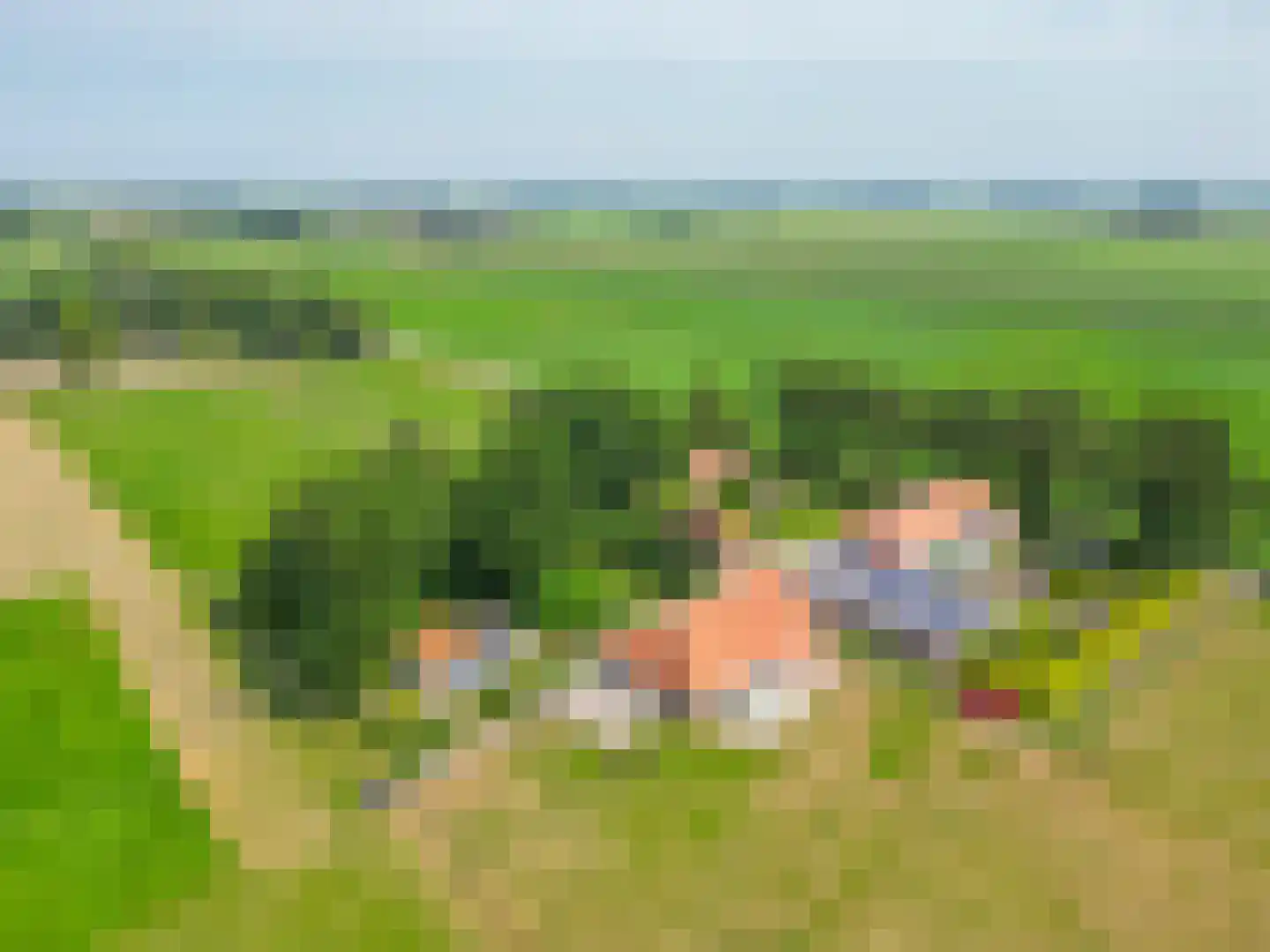 Meester Wijmaweg 3 Bantega thumbnail 113