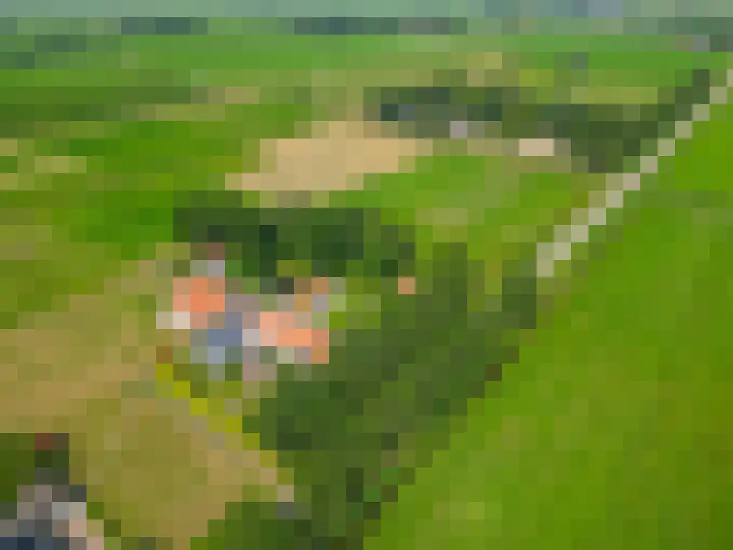 Meester Wijmaweg 3 Bantega thumbnail 116