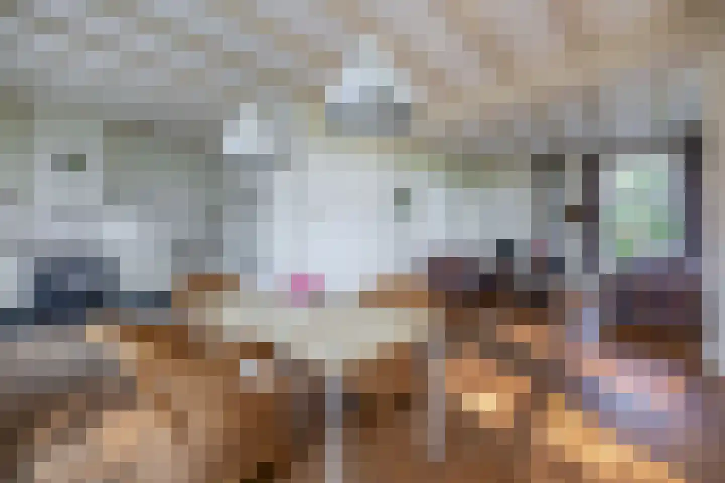 Meester Wijmaweg 3 Bantega thumbnail 19