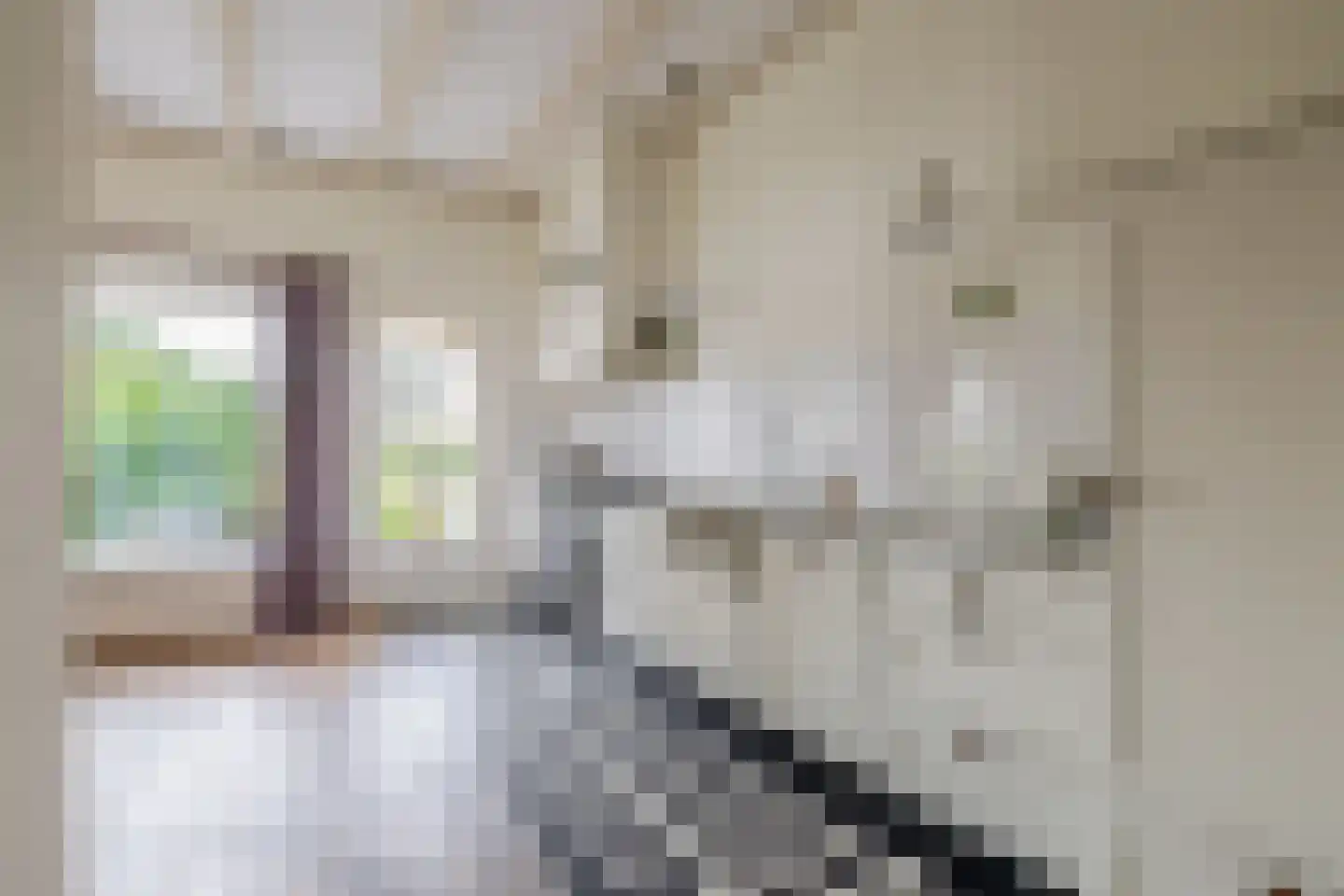 Meester Wijmaweg 3 Bantega thumbnail 20