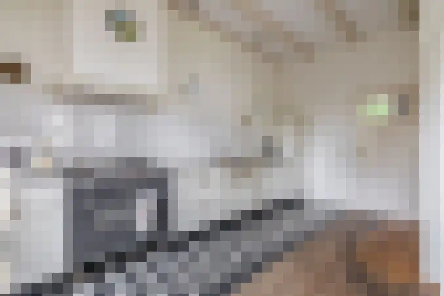 Meester Wijmaweg 3 Bantega thumbnail 21