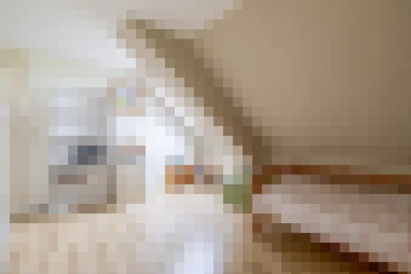 Meester Wijmaweg 3 Bantega thumbnail 25