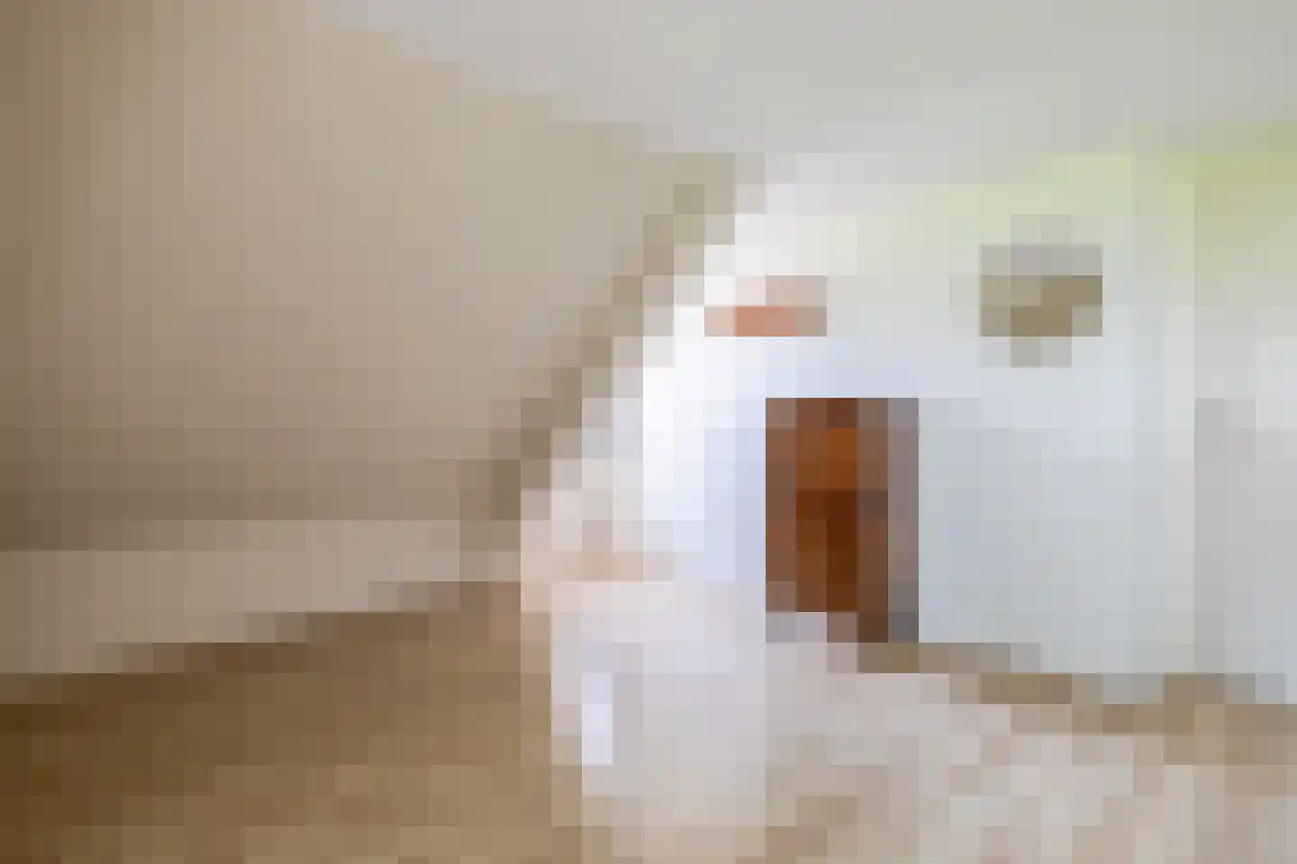 Meester Wijmaweg 3 Bantega thumbnail 27