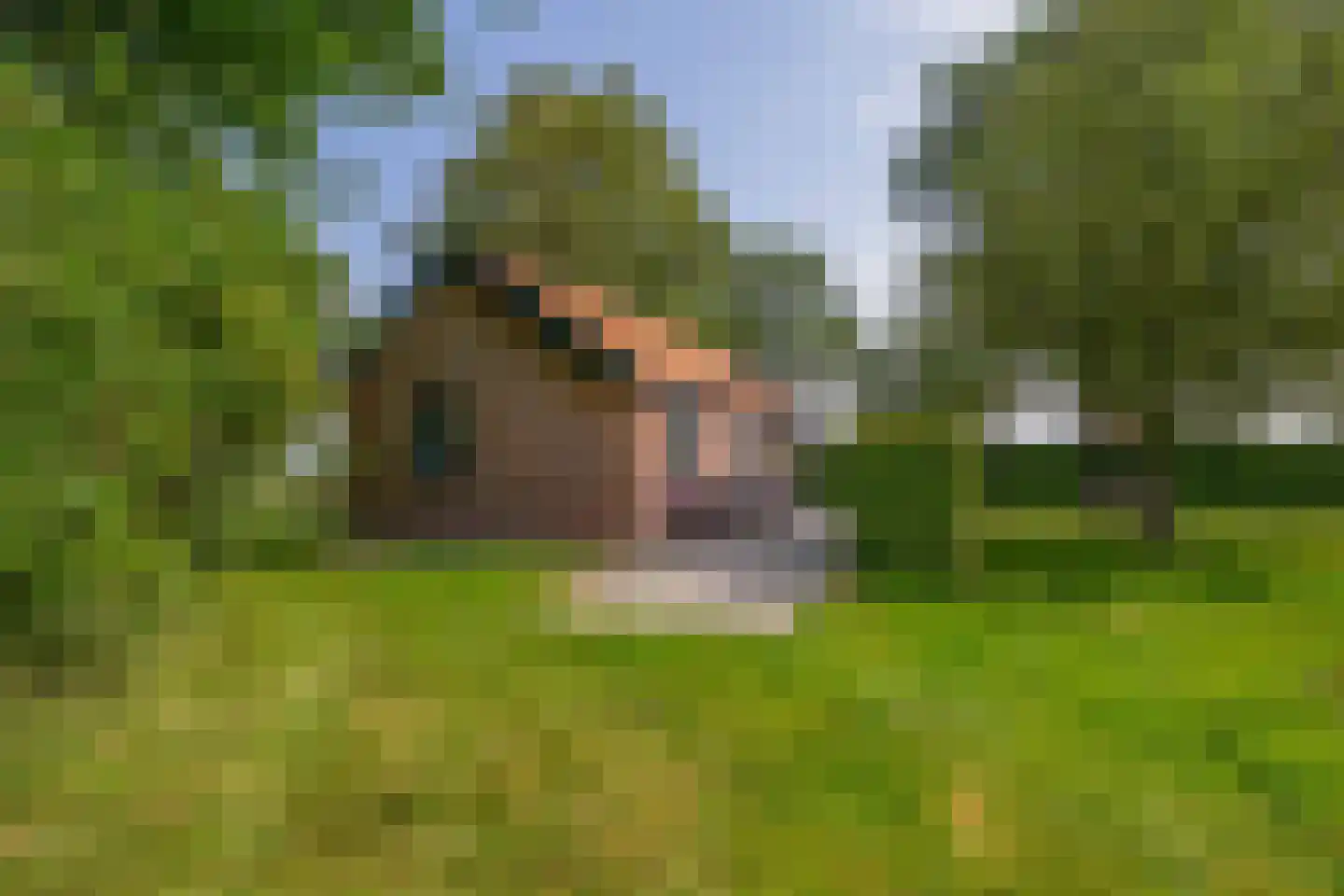 Meester Wijmaweg 3 Bantega foto 3