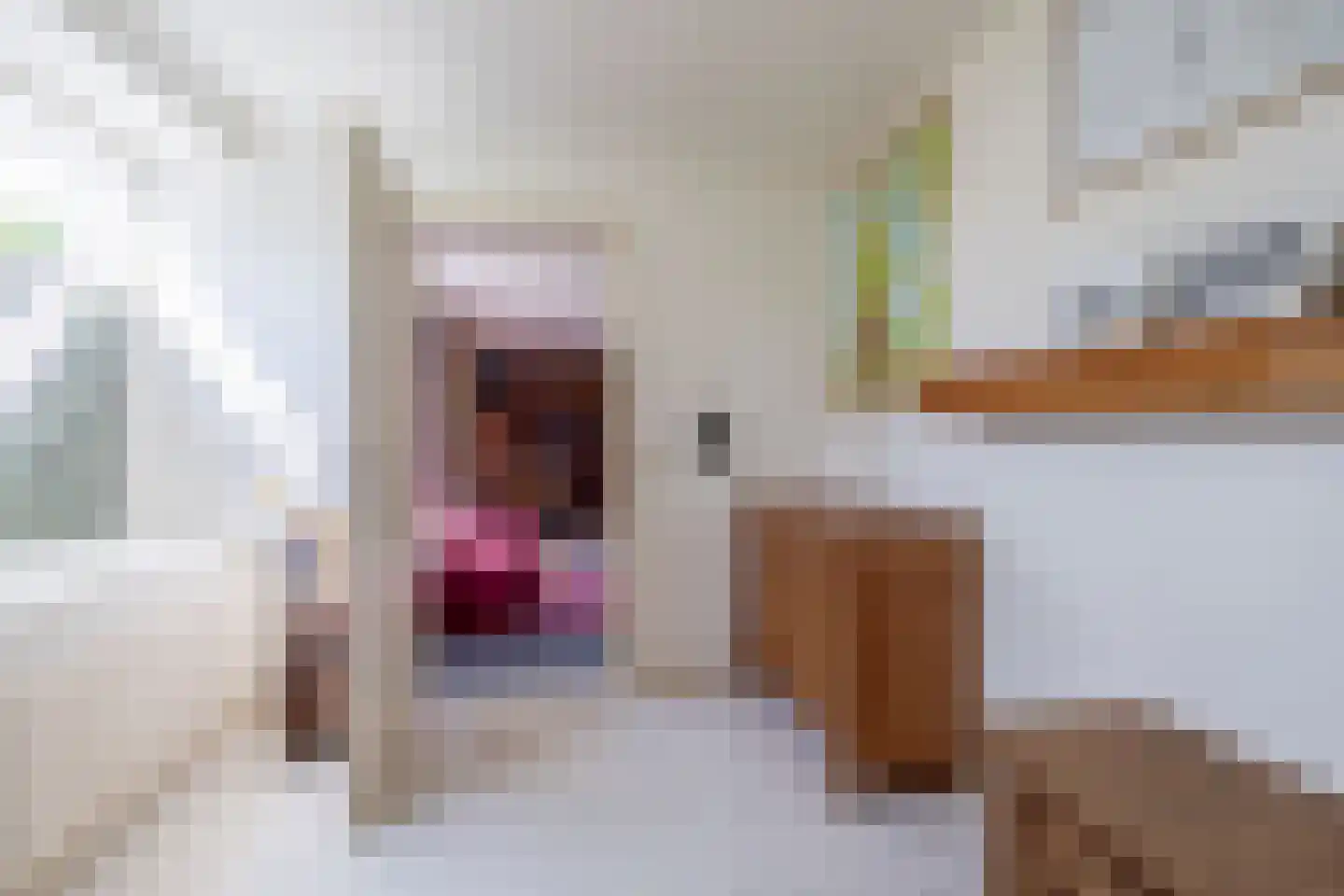 Meester Wijmaweg 3 Bantega thumbnail 39